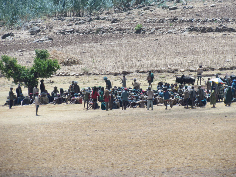 braceros para las cosechas